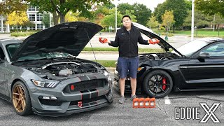 Is The Shelby GT350 Reliable [upl. by Bruyn]