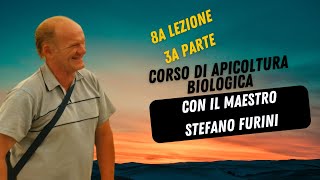 26  CORSO DI APICOLTURA BIOLOGICA  Asphodel Honey  con il maestro Stefano Furini Lezione 8 Parte3 [upl. by Aloibaf]