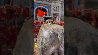 mahadeva ytshorts mahadeva bholenath viral viralvideo youtubeshorts shorts like  love [upl. by Attem]