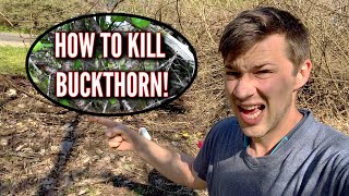 HOW TO KILL BUCKTHORN [upl. by Connors322]