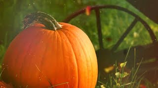 Peaceful music Relaxing music Intrumental Music quotQuiet Autumn Lakequot by Tim Janis [upl. by Cook]