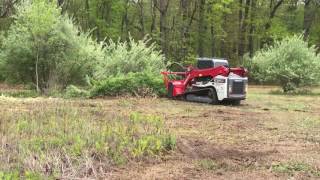 Takeuchi TL12V2 w an AHWI M450h mulcher [upl. by Saenihp582]