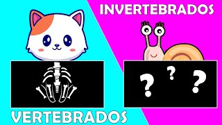 ANIMALES VERTEBRADOS E INVERTEBRADOS para niños 🐸🦁🐘🐟🐌 Videos Educativos [upl. by Donaugh]