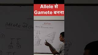 Allele से Gamete बननाvarl sorts NCERT physics Our study room Udayrajsir17 [upl. by Willumsen]