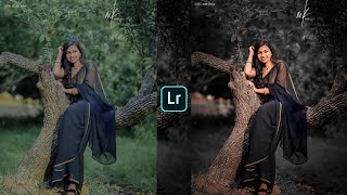 Dark and brown effect Lightroom photo editingpreset download free [upl. by Annayrb]