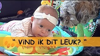 1STE X OP SPEELKLEED 😍 met WOEZEL🐶amp PiP🐶  Bellinga Familie Vlog 944 [upl. by Tnarg]