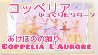 コッペリア あけぼの キッズバレエ のために 〜 Laurore quot Coppelia quot for Kids [upl. by Neeham]