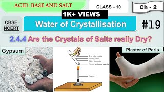 Water of Crystallization  Plaster of Paris  Gypsum  Activity 215  Acid Base and Salt  Class 10 [upl. by Windy927]