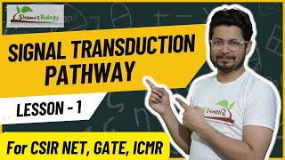 Signal transduction pathway  How signal transduction pathway works [upl. by Yrdua768]