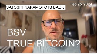 The Enigmatic Craig Wright Bitcoin vs Bitcoin SV Satoshi Nakamoto BSV Saga through Astrology [upl. by Ridglee]