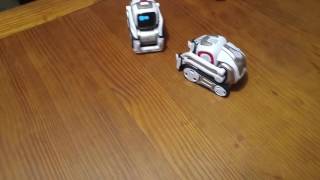 Cozmo meets cozmo [upl. by Emarej]