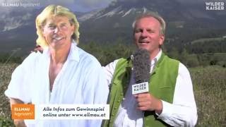 Ellmau News – Aktuelles vom Wilden Kaiser am 26 September 2016 [upl. by Abbotsen]