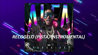 El Alfa El Jefe Recogelo Pista Instrumental [upl. by Roz778]