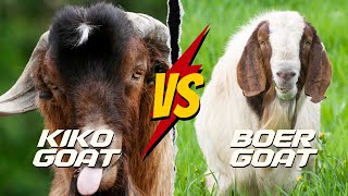 Kiko Goats vs Boer Goats Which Breed is Best [upl. by Aretta]