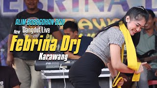 FEBRINA DRJ DANGDUT REGGAE JAIPONG  ALIM BOBOGOHAN DEUI [upl. by Cliffes511]