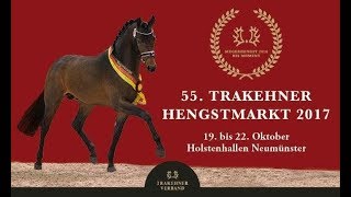 Trakehner Hengstmarkt 2017  Trailer der Junghengste [upl. by Suoirrad]