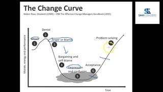 Understanding the Kubler Ross Change Curve [upl. by Esyak760]