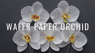 How to make Wafer Paper Orchid  free template [upl. by Attem]