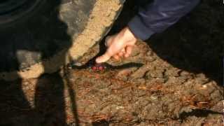 GSHOCK KING test with Toyota Tacoma on sand [upl. by Petta74]