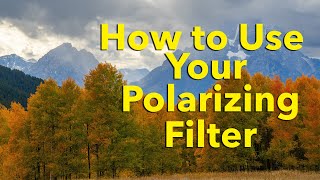 How to Use a Polarizing Filter [upl. by Elvyn]