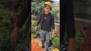 Jcb से बोरा लौड किया working art skill wood hand crafts  shorts [upl. by Britney]