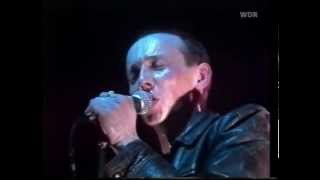 Magazine  Live at Rockpalast 1980 [upl. by Bertine851]