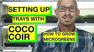 HOW TO GROW MICROGREENS  Setting up 10 x 20 Trays with Coco Coir  Step by Step Guide [upl. by Nichole]