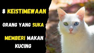 Keajiban memberi makan kucing 8 keistimewaan suka memberi makan kucing [upl. by Nassah]