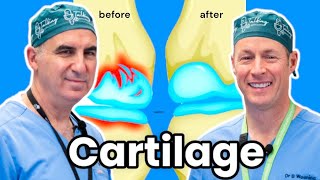 How To Grow Your Cartilage Can We Actually Do It [upl. by Adnor656]