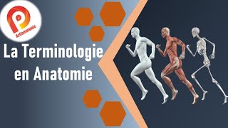 TERMINOLOGIE en Anatomie بالدارجة [upl. by Llenyar]