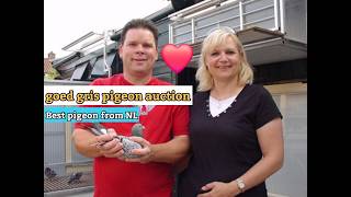 Racing Pigeon Legends Marcel Sangers Top 4 Goed Grijs Bloodline Champions in auction [upl. by Meggs298]