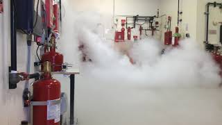 CO2 Fire Suppression System Discharge at Koorsen Training Center [upl. by Lennox371]