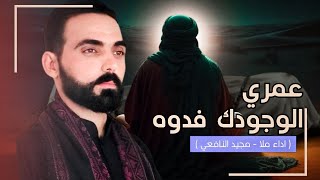 عمري الوجودك فدوه  ملا مجيد النافعي 2025  جديد لطميات اشتشهاد فاطمة الزهراء ع [upl. by Teteak]