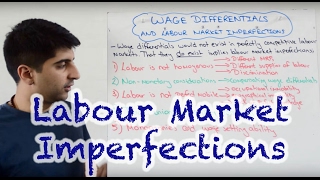 Wage Differentials and Labour Market Imperfections [upl. by Alyal109]