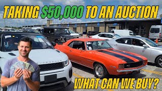 Are Cars Cheaper at Dealer Auctions in Florida  Flying Wheels [upl. by Leicester]