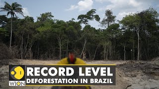 Rampant deforestation in Brazils Amazon  Lungs of the planet in danger  WION Climate Tracker [upl. by Nwonknu779]