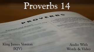 Proverbs 14  Holy Bible  King James Version KJV Audio Bible With Video [upl. by Atelokin]