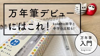 初心者でも使いやすい万年筆 細字と中字を比較！【万年筆入門】 [upl. by Kerns170]