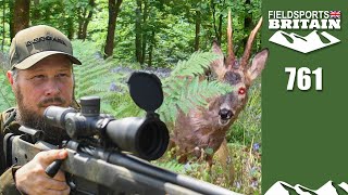 Fieldsports Britain – Murder buck hunt [upl. by Aduhey734]