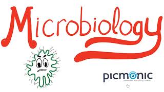 Microbiology Part 1 Introduction  Actinomyces israeli Listeria Diphtheria Nocardia  Picmonic [upl. by Suravart]