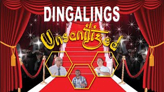 Dingalings Unsanitized [upl. by Ahsyle]