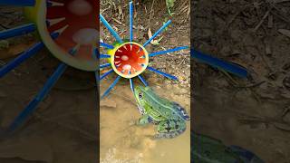 Survival Skills SIMPLE and USEFUL With Watermelon frog trap bushcraft camping outdoors survival [upl. by Sug478]