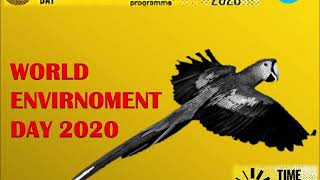 WORLD ENVIRONMENT DAY 2020  Its time for nature  Insights into Indian Neem  WED 2020 INDIA [upl. by Enileda]