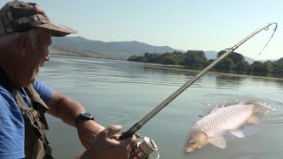 Pecanje šarana na Dunavu  Boško Šunjkic  Majstor za šarane  Fishing carp [upl. by Eek]