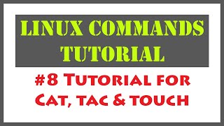 Linux Commands for Cat Tac and Touch  Linux Command for File Creation commandline command bash [upl. by Rehoptsirhc]