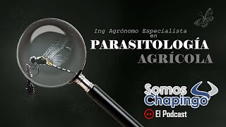 VOL 3 INGENIERO AGRÓNOMO ESPECIALISTA EN PARASITOLOGÍA AGRÍCOLA UNIVERISDAD AUTONOMA CHAPINGO [upl. by Ardnuaet219]