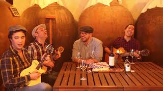 Musica Alentejana Ai venham ver o Alentejo  Brasa Doirada Reserva 2015 Cante Alentejano Alentejo [upl. by Bambi]