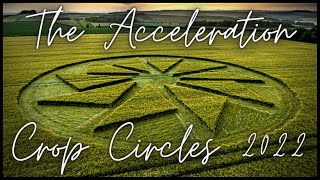 The Great Acceleration Begins  A Crop Circle Message  Todd Bryson [upl. by Ruvolo]