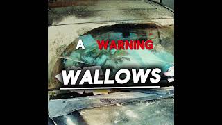 A Warning  Wallows Lyrics [upl. by Hobbie]