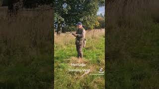 Gundog Training Labrador Retriever Dummy Launcher Steadiness Training [upl. by Ttevy123]